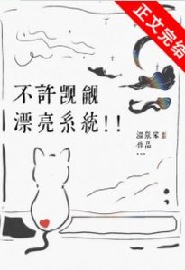 不许觊觎漂亮系统!!